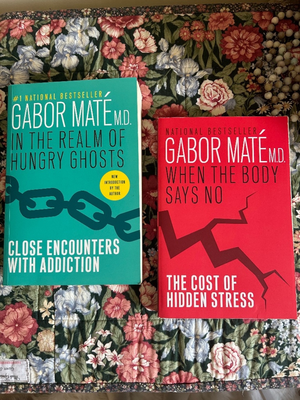 Gabor Maté Book Bundle (2) When the Body Says No; Realm of Hungry Ghosts